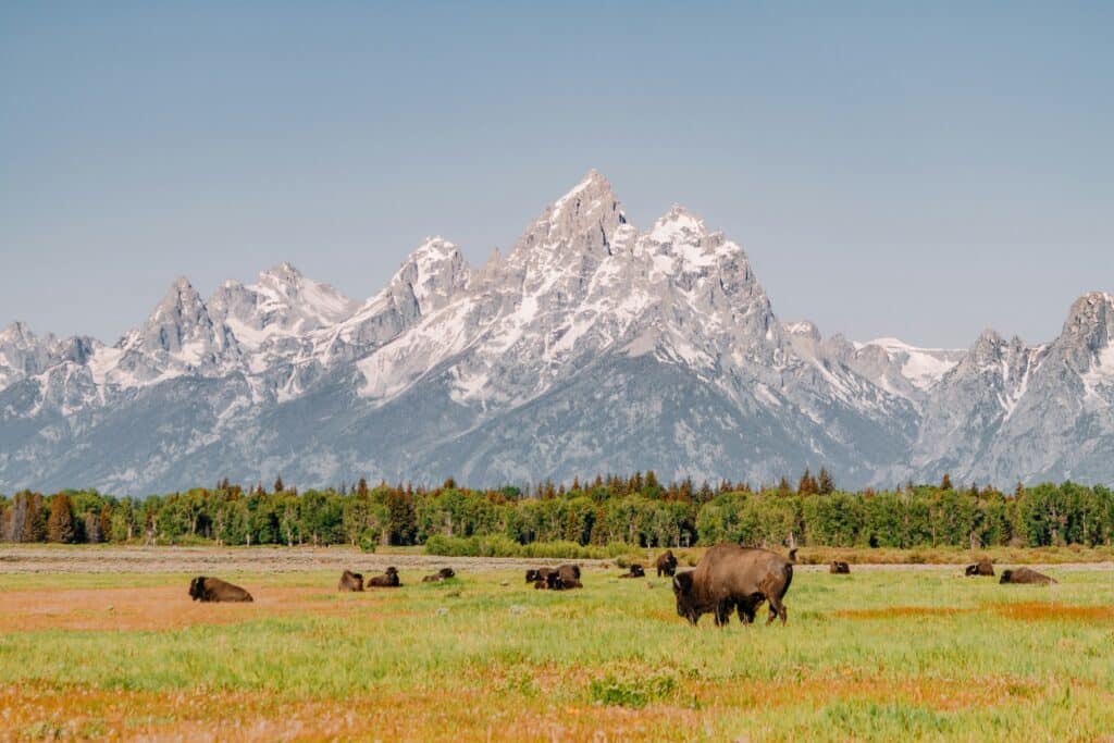Travelhome_isaac-martin-JDdg5p_lPUM-unsplash