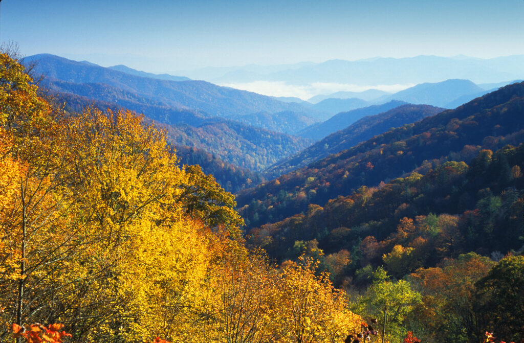 Part of the Great Smoky Mountains National Park, Newfound Gap offers breathtaking beauty whether on a scenic drive or enjoying a quiet hike.