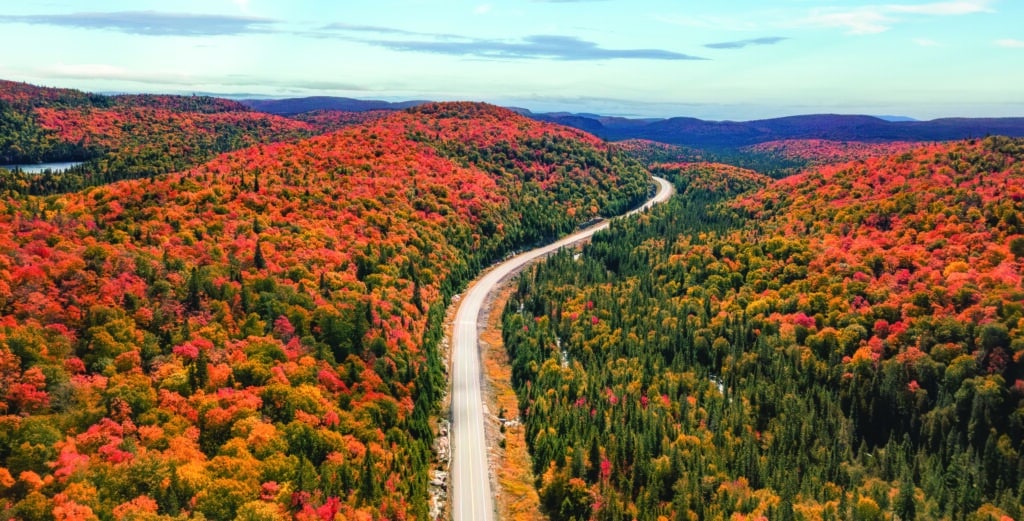 Highway near Colorful Trees in forest with lakes and blue cloudy sky. Aerial Nature Background. Ontario, Canada.